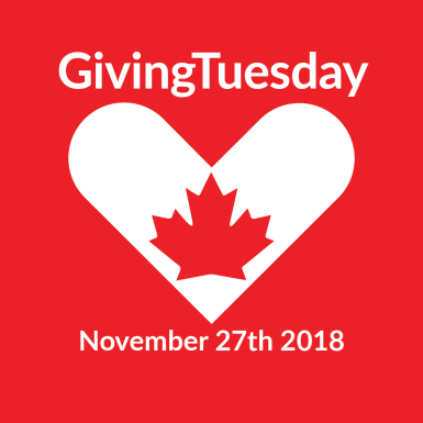 Giving Tuesday November 27